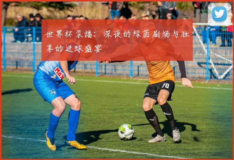 世界杯录播：深夜的绿茵剧场与独享的进球盛宴
