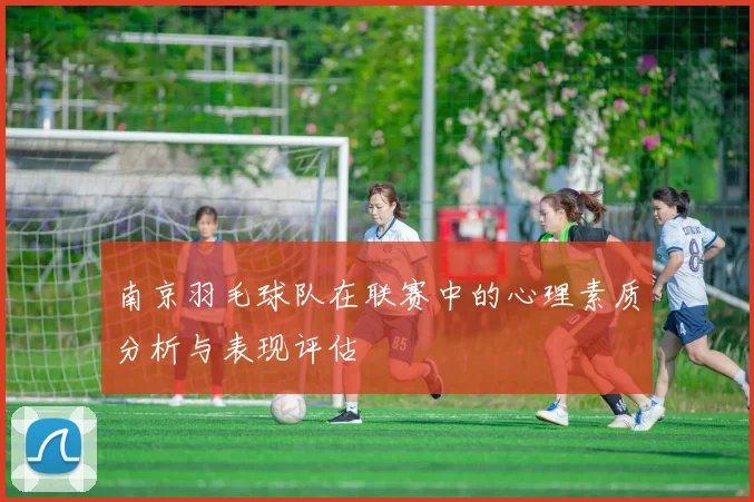 南京羽毛球队在联赛中的心理素质分析与表现评估