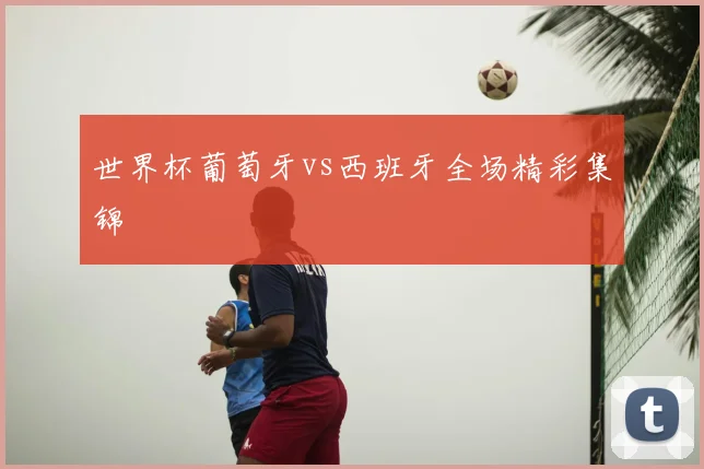 世界杯葡萄牙vs西班牙全场精彩集锦