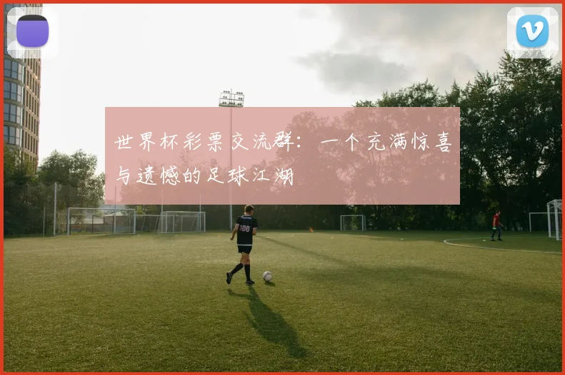 世界杯彩票交流群：一个充满惊喜与遗憾的足球江湖