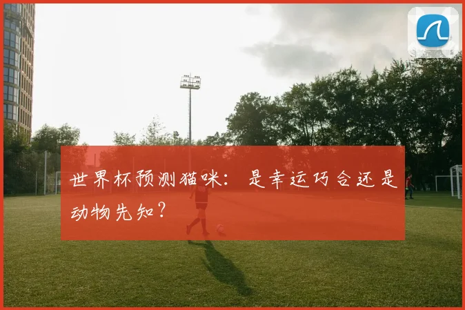 世界杯预测猫咪：是幸运巧合还是动物先知？