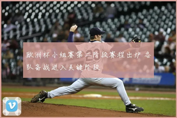 欧洲杯小组赛第二阶段赛程出炉 各队备战进入关键阶段