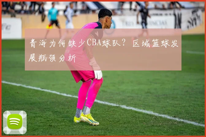 青海为何缺少CBA球队？区域篮球发展瓶颈分析