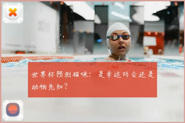 世界杯预测猫咪：是幸运巧合还是动物先知？
