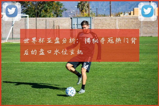 世界杯亚盘分析：揭秘夺冠热门背后的盘口水位玄机