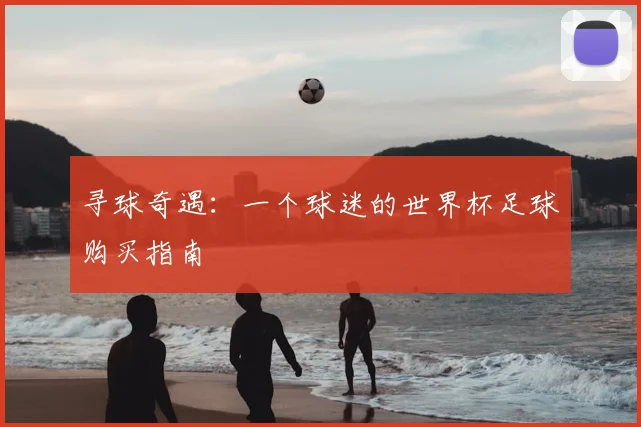 寻球奇遇:一个球迷的世界杯足球购买指南