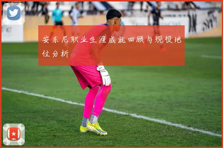安东尼职业生涯成就回顾与现役地位分析