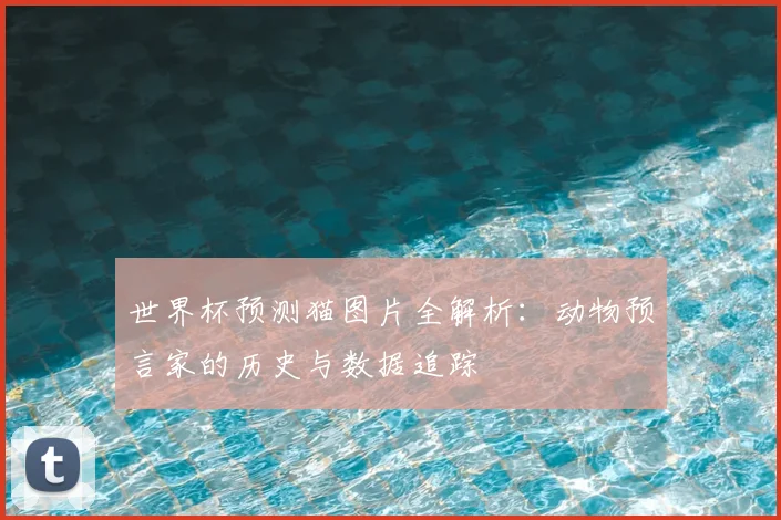 世界杯预测猫图片全解析：动物预言家的历史与数据追踪