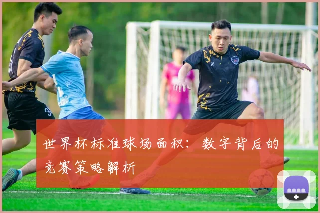 世界杯标准球场面积：数字背后的竞赛策略解析