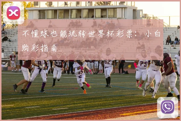 不懂球也能玩转世界杯彩票：小白购彩指南