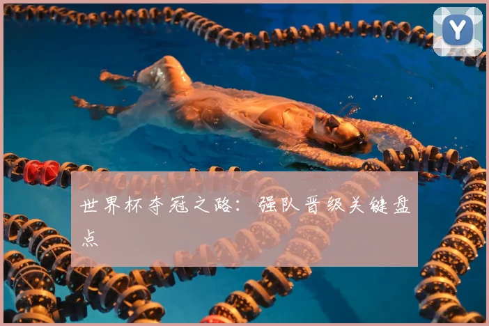 世界杯夺冠之路：强队晋级关键盘点