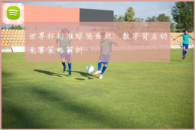 世界杯标准球场面积:数字背后的竞赛策略解析
