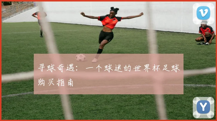 寻球奇遇:一个球迷的世界杯足球购买指南