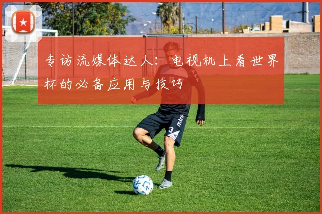 专访流媒体达人：电视机上看世界杯的必备应用与技巧